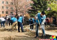 春來到，煙廠社區“去雜留香”爭創文明城