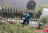社區修剪樹枝 “剪”出美麗家園