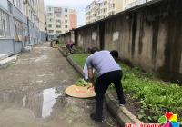 周末“不打烊”，“藍馬甲” 創城行動暖民心