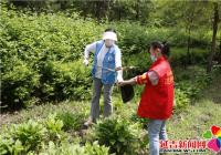 街道吹哨“我”報到為創城注入新活力