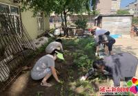 新興街道志愿者清理花壇綠地 美化轄區環境