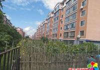 新興街道清除“小菜園” 小區變得更精神