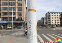 積極鞏固創城成果  堅決防止問題反彈