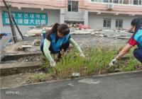 晨光社區拔草除雜 清潔美化家園