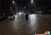 雨水淹沒馬路   社區“出手”挪車 