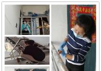 丹明社區充滿電 創城工作再加力
