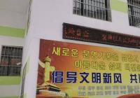 延盛社區開展“第一次自然災害綜合風險普查”宣傳工作