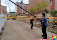風天電線桿傾倒網格員及時出手解民憂