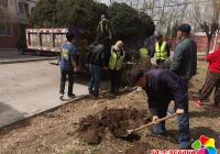 黨建引領居民自治 植樹“種”出幸福感