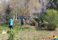 白山社區聯合市自然資源局開展周末衛生日活動